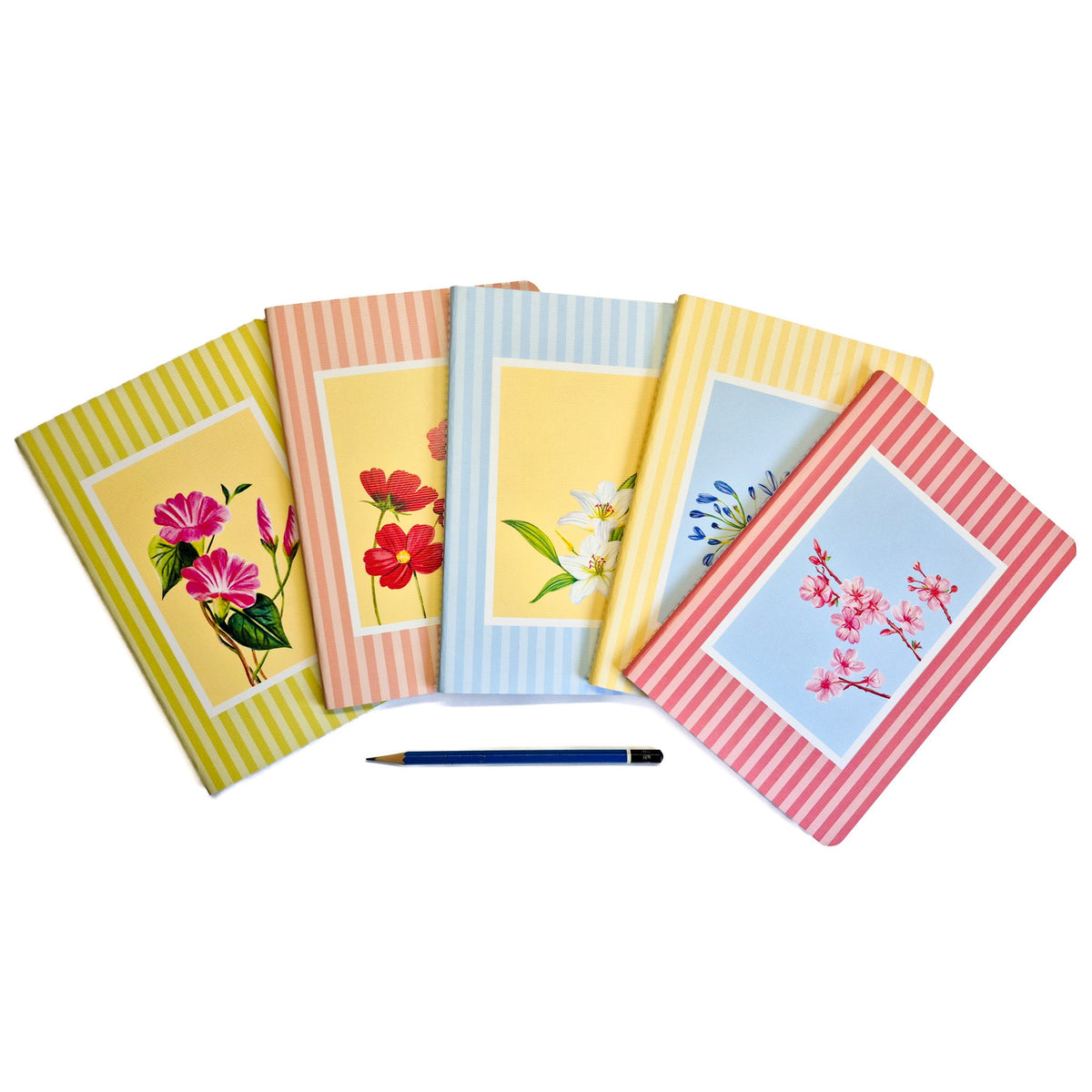 a5 notebooks