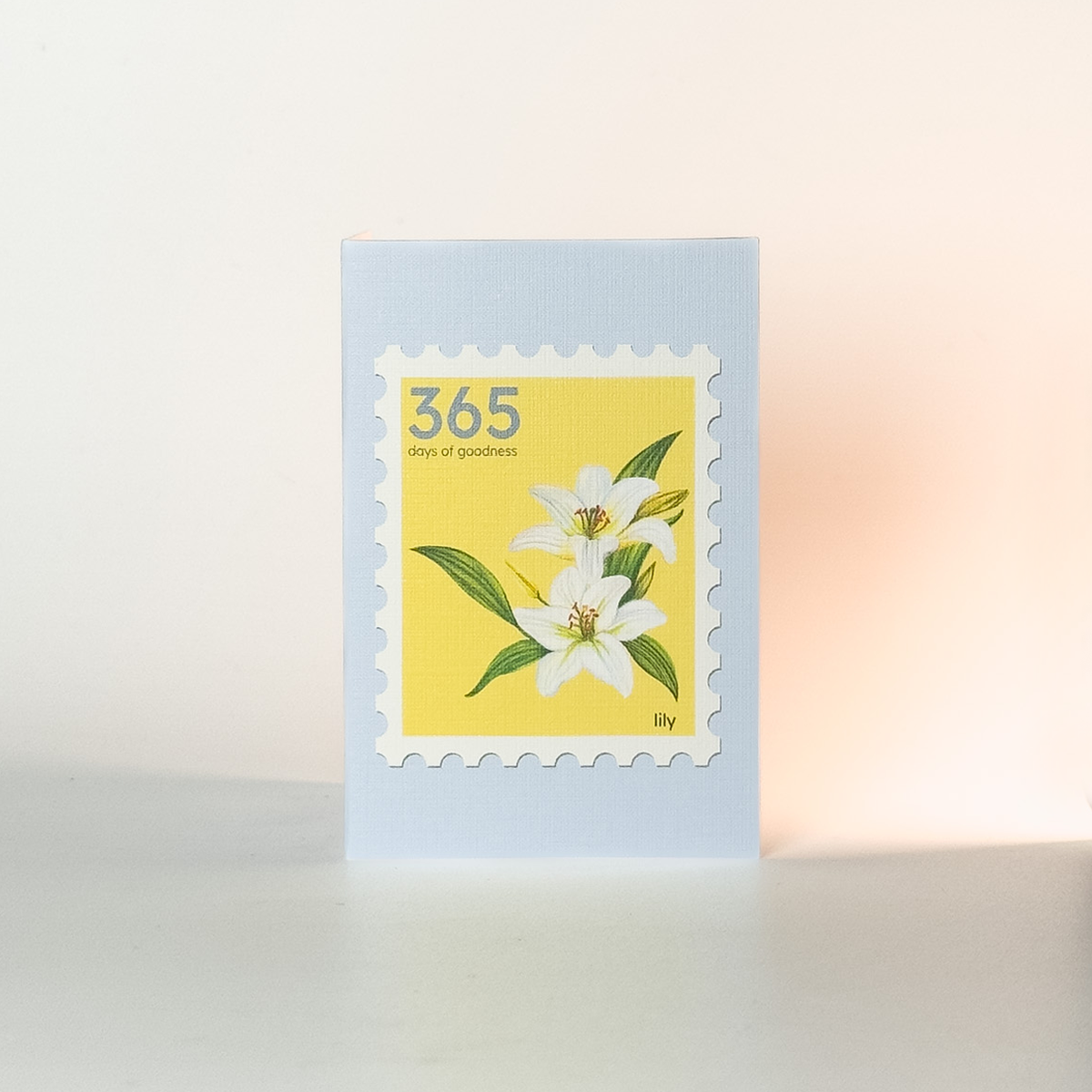 Notelets & Gift Tags