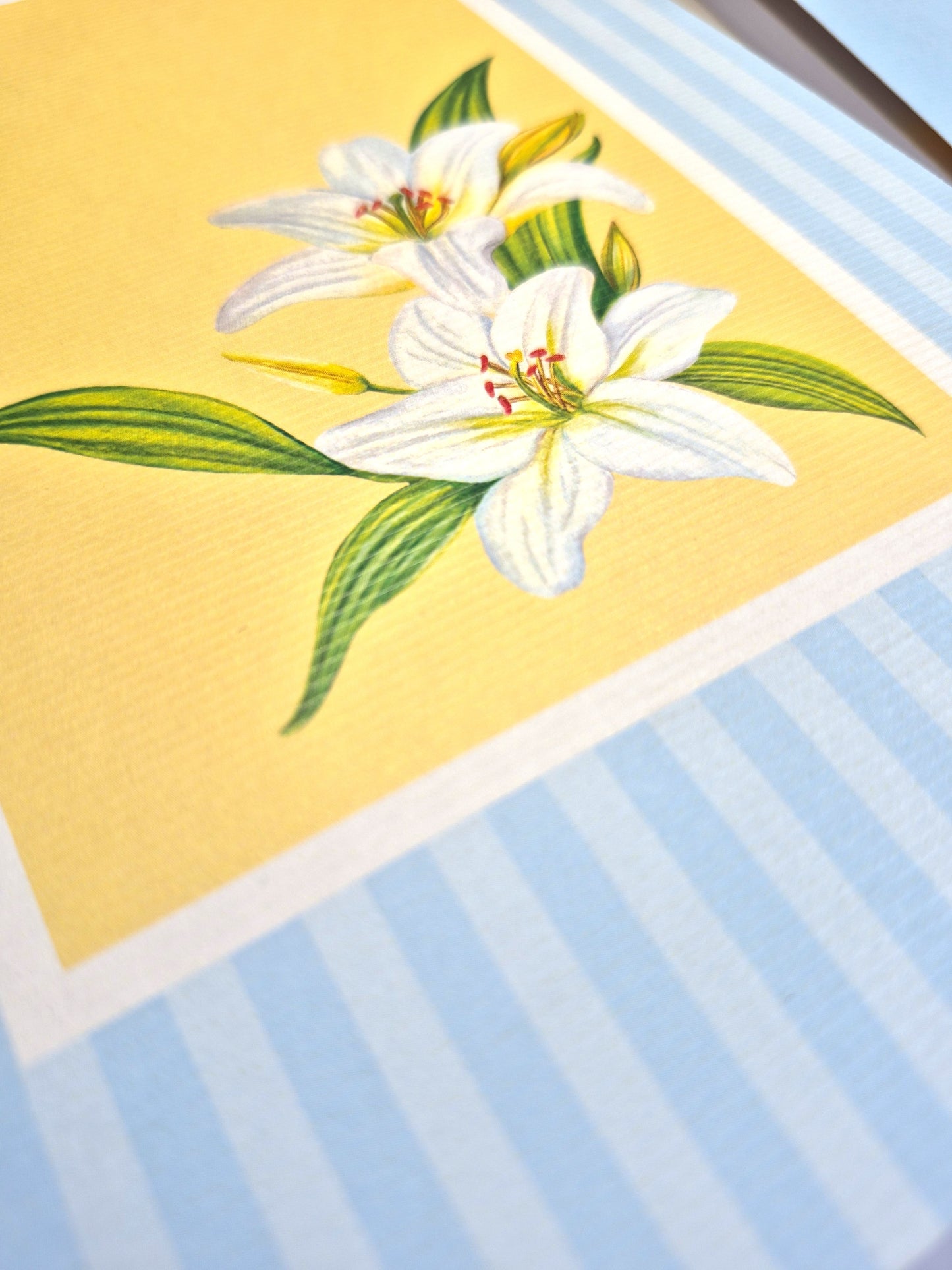 A5 Single Notebook | 100 GSM paper | 100 pages| Blank pages | Centre thread stitched | Floral collection | Lily