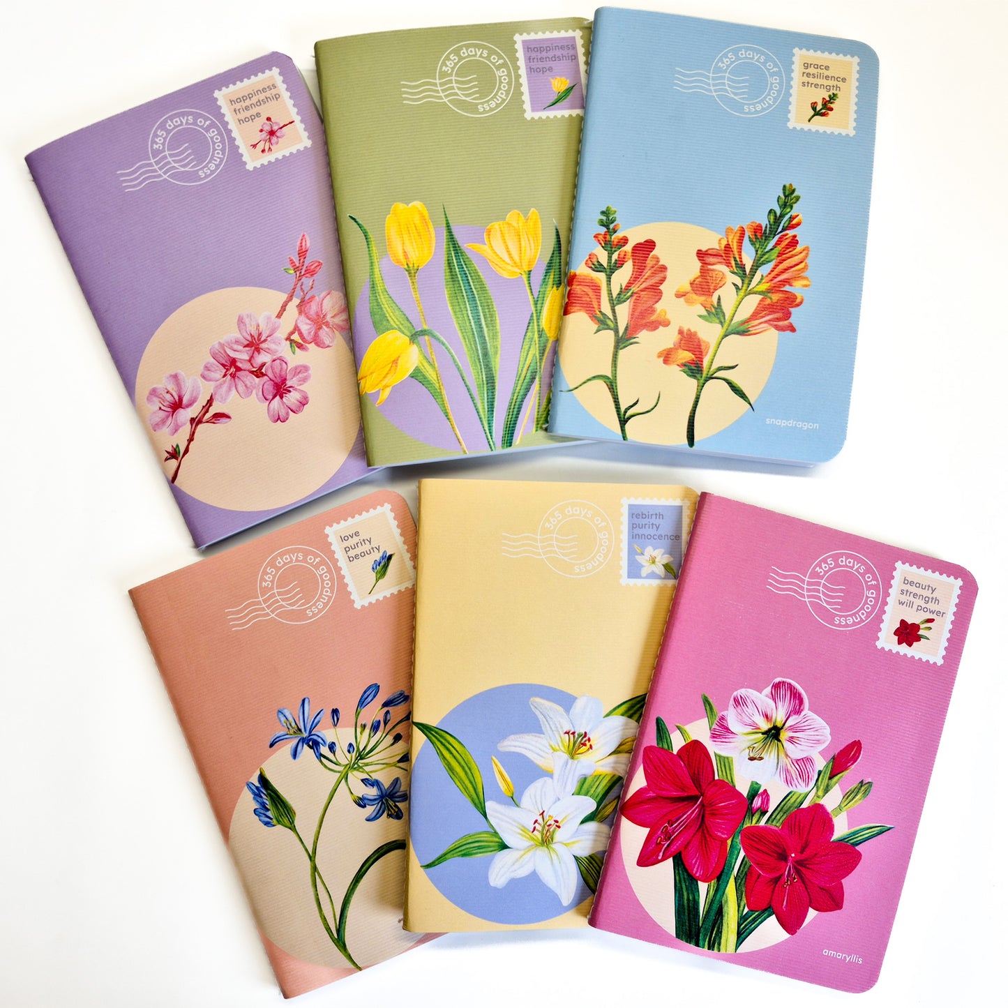 B6 Notebooks| Set of 6 | Floral Collection |100 GSM paper | 100 pages| Blank pages | Centre thread stitched