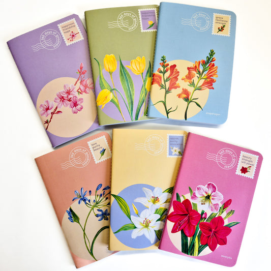 B6 Notebooks| Set of 6 | Floral Collection |100 GSM paper | 100 pages| Blank pages | Centre thread stitched