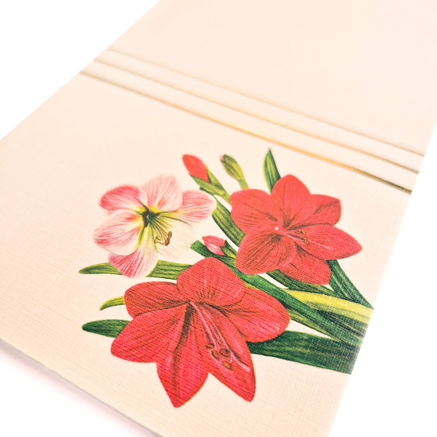 Money envelopes | Set of 8