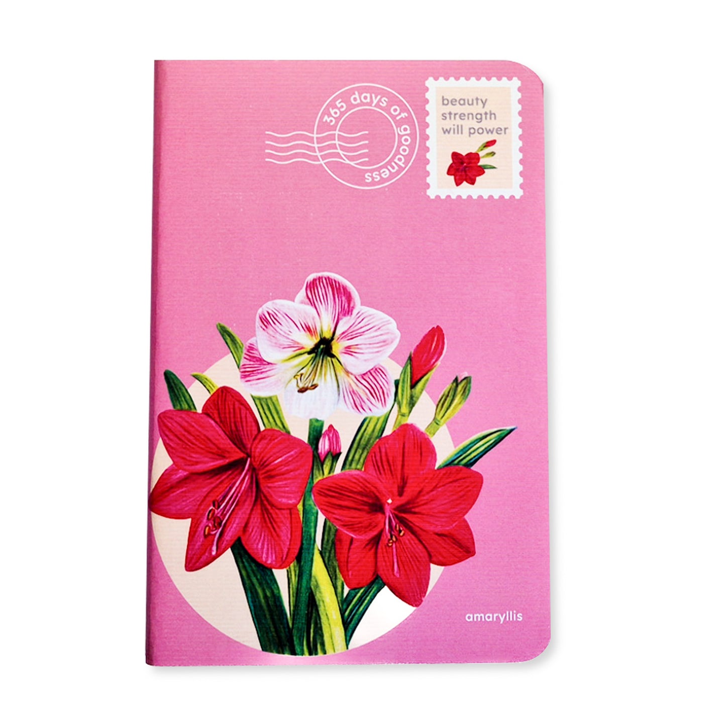 B6 Single Notebook | 100 GSM paper | 100 pages| Blank pages | Centre thread stitched | Floral collection | Amaryllis