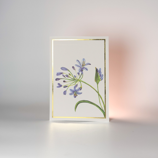 Agapanthus Floral Greeting Card