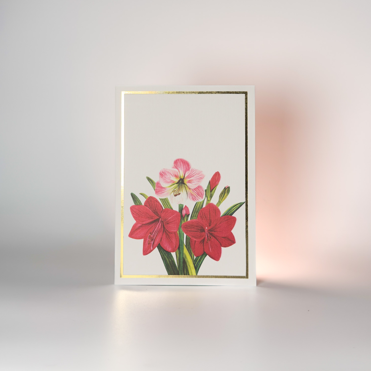 Amaryllis Floral Greeting Card