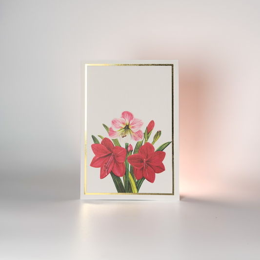 Amaryllis Floral Greeting Card