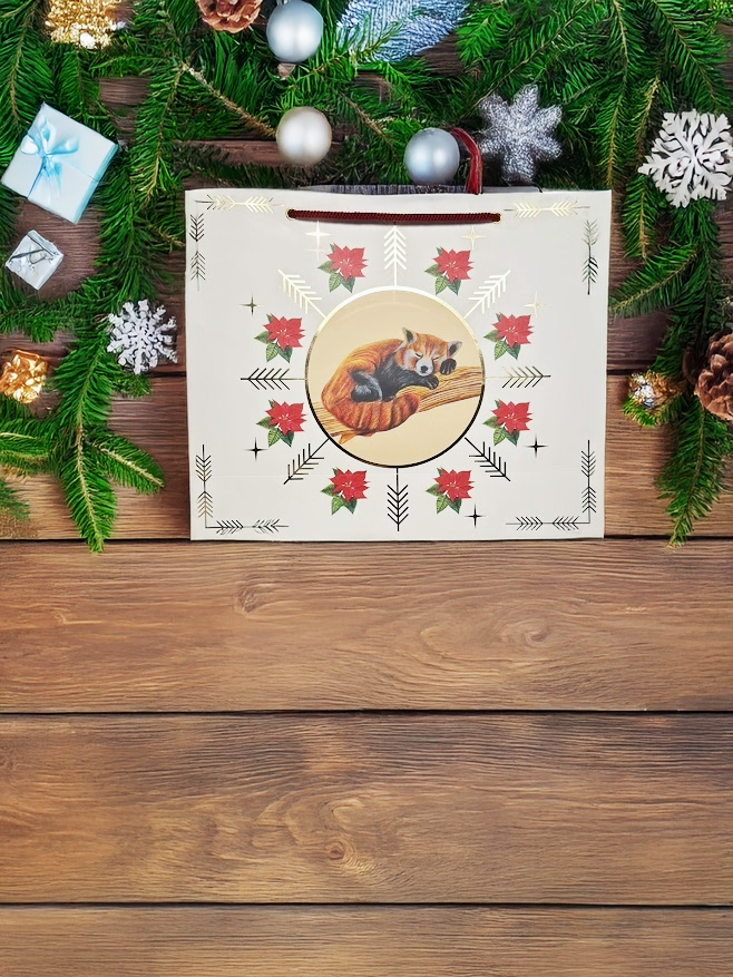 Christmas Gift Bag