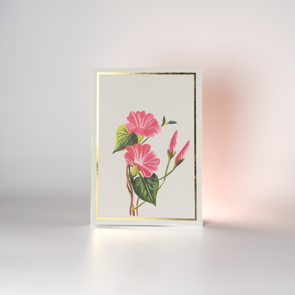 Morning Glory Floral Greeting Card - For The Optimist
