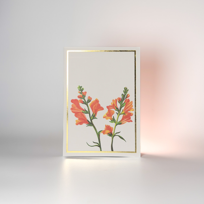 Snapdragon Floral Greeting Card - For The Creator